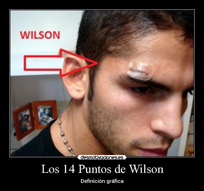 Los 14 Puntos de Wilson - 