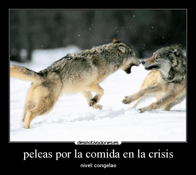 carteles comida forever_cristina desmotivaciones