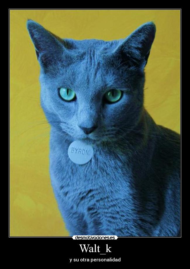 Walt_k - y su otra personalidad