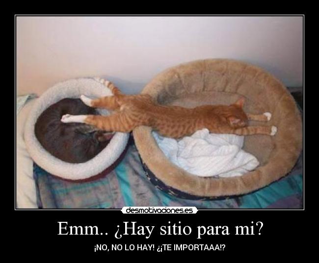 Emm.. ¿Hay sitio para mi? -