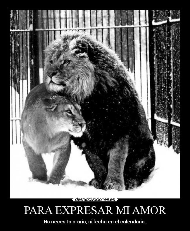 PARA EXPRESAR MI AMOR - 