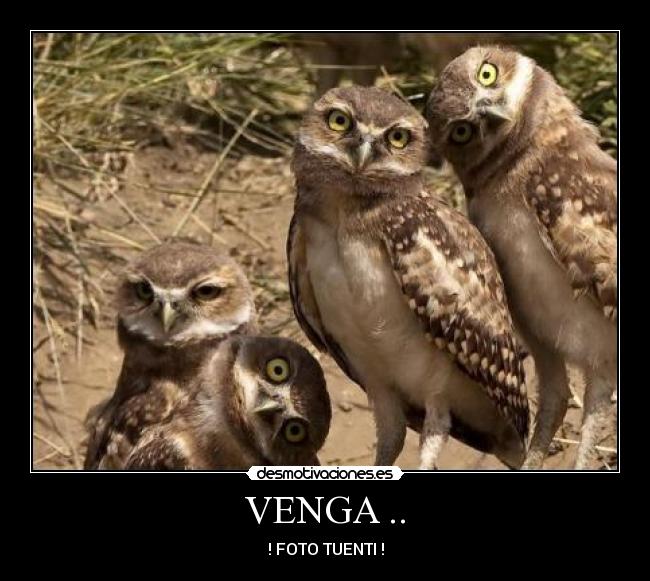 VENGA .. - 