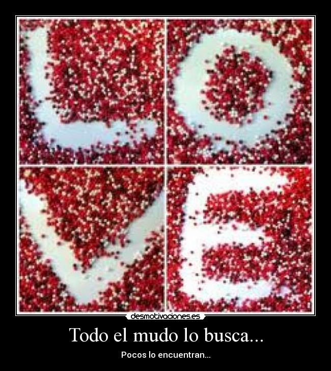 Todo el mudo lo busca... - Pocos lo encuentran...