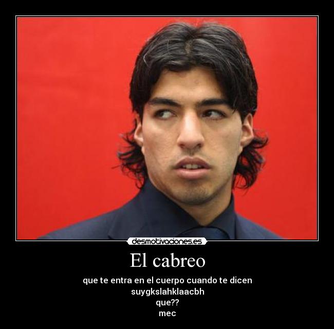 El cabreo - que te entra en el cuerpo cuando te dicen
suygkslahklaacbh
que??
mec