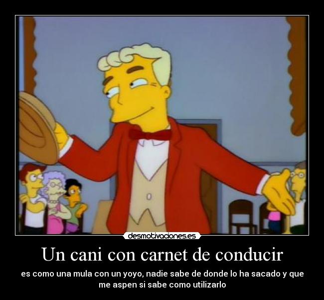 carteles cani mula simpson yoyo utilizar saben monorrail desmotivaciones