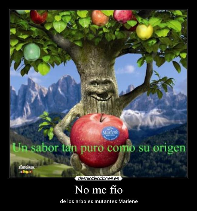 carteles manzanas marlene desmotivaciones