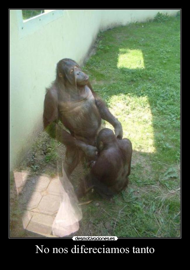 No nos difereciamos tanto - 