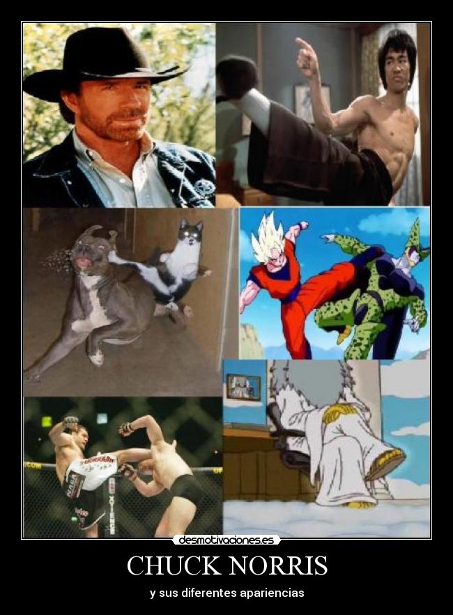 CHUCK NORRIS -