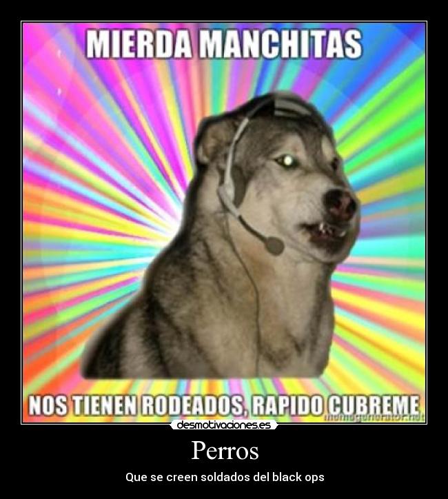 Perros - Que se creen soldados del black ops