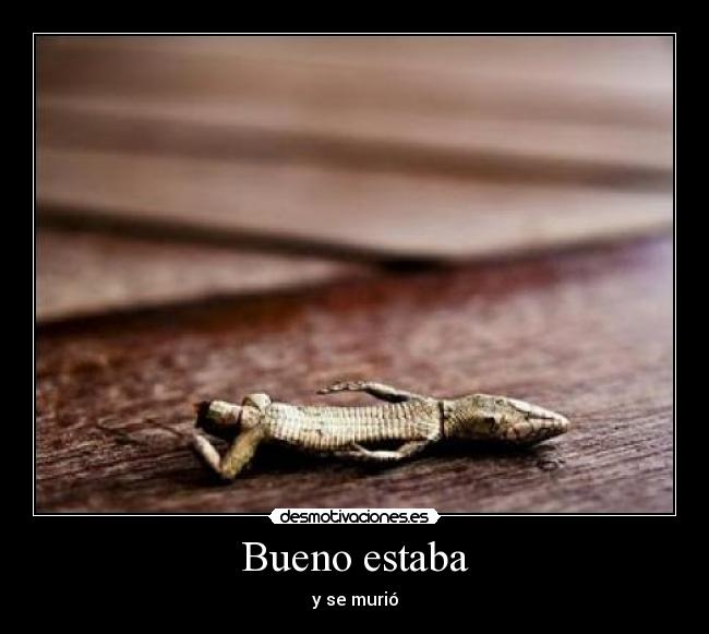 Bueno estaba - 