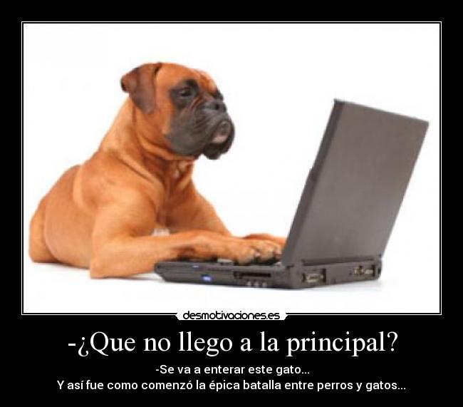 -¿Que no llego a la principal? -