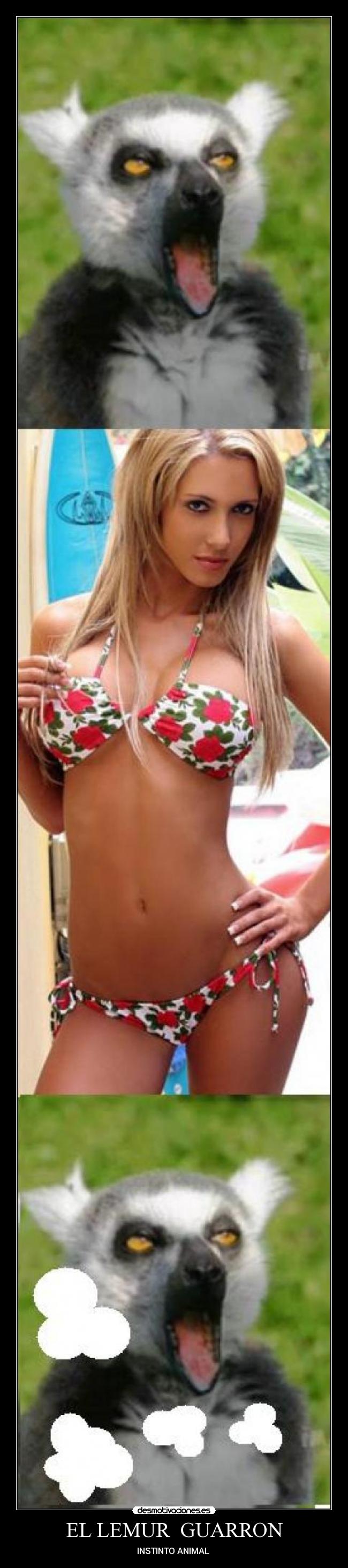 carteles insert coin lemur desmotivaciones