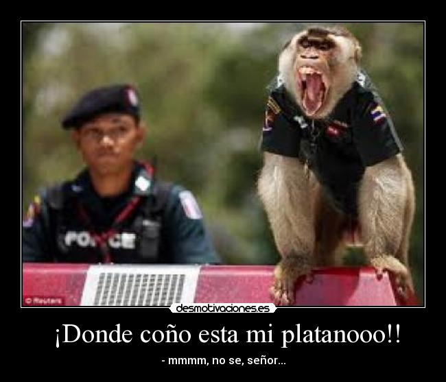 carteles mono vestido poli platano militar poli grita desmotivaciones