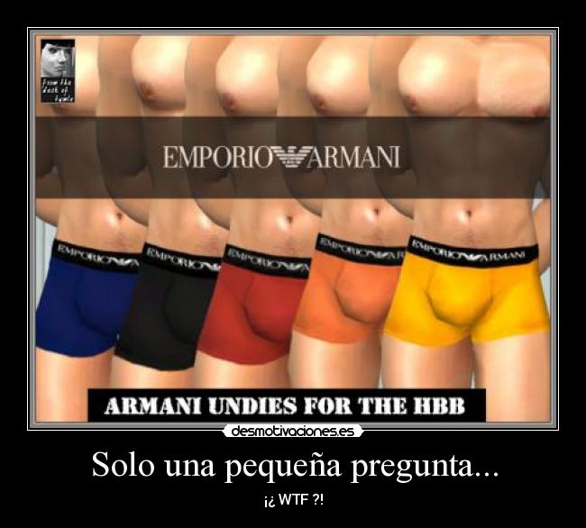 Solo una pequeña pregunta... - 