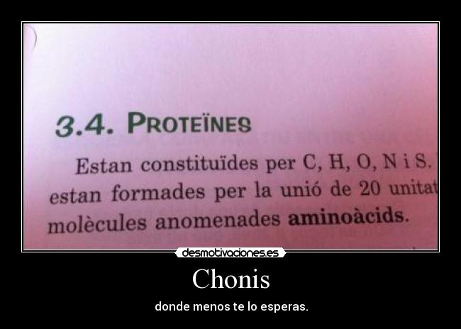 Chonis -