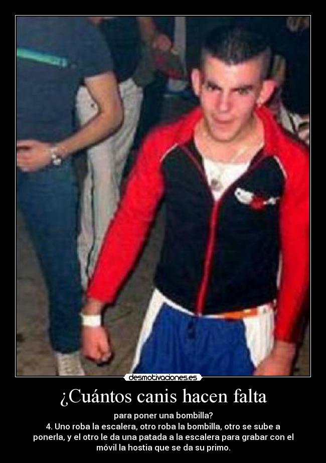 ¿Cuántos canis hacen falta -