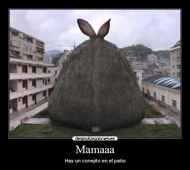 Mamaaa - Hay un conejito en el patio