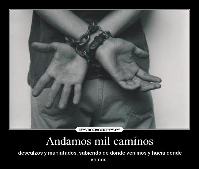 Andamos mil caminos - 