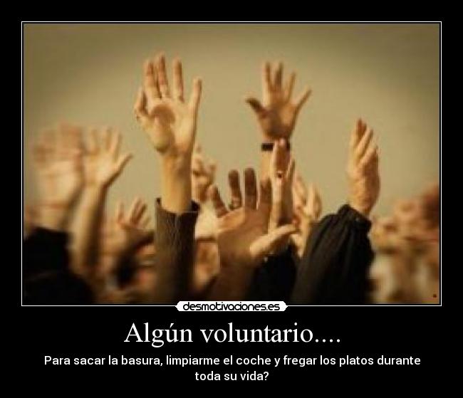Algún voluntario.... - 