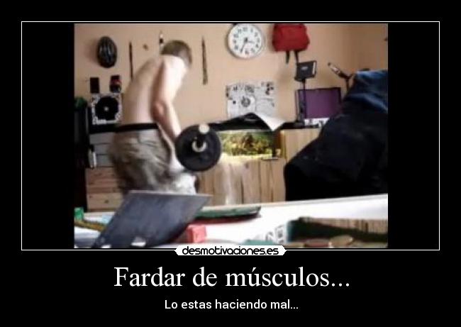 Fardar de músculos... -