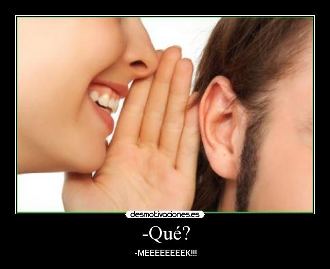 -Qué? - -MEEEEEEEEK!!!