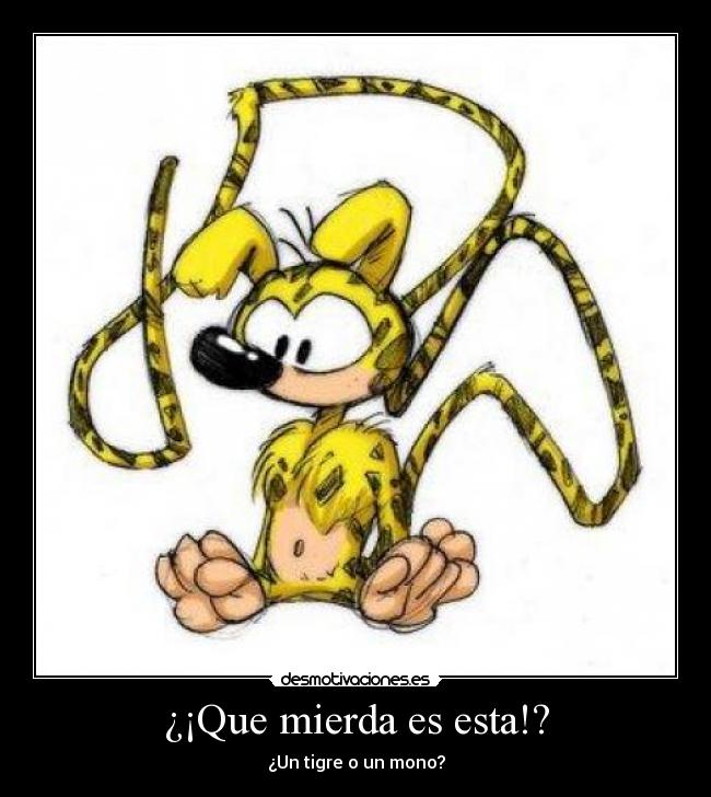 ¿¡Que mierda es esta!? - �Un tigre o un mono?