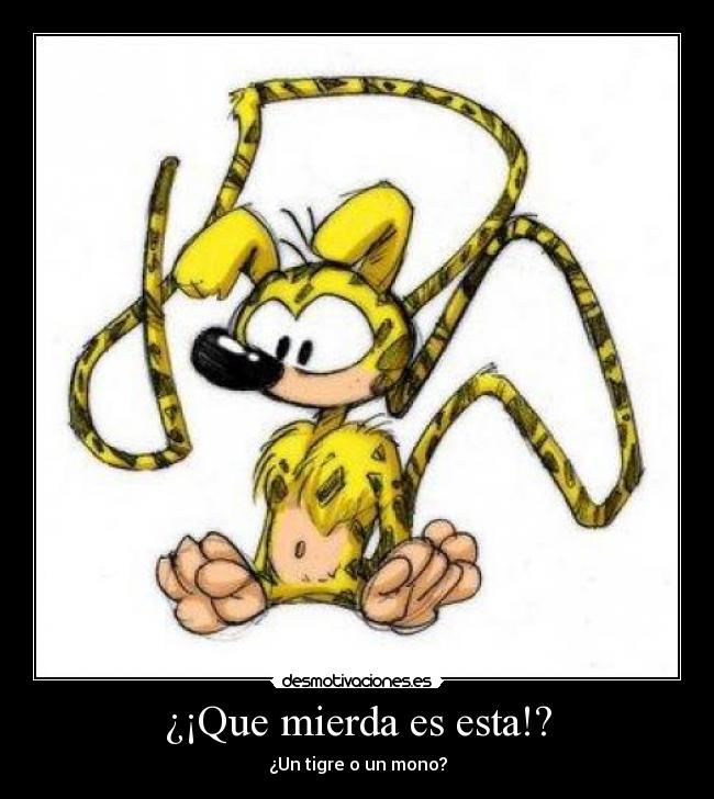 ¿¡Que mierda es esta!? - Un tigre o un mono?