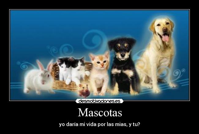 Mascotas - yo daría mi vida por las mias, y tu?