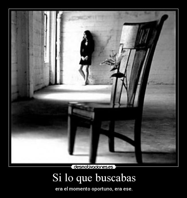 Si lo que buscabas - 