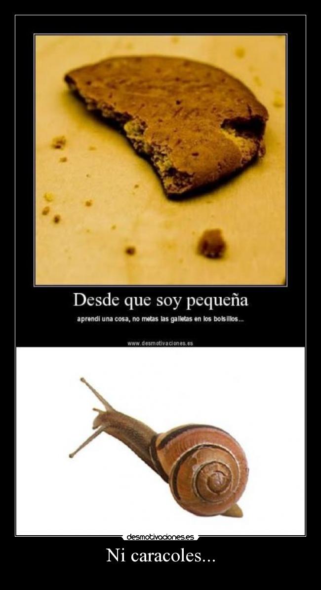 Ni caracoles... - 