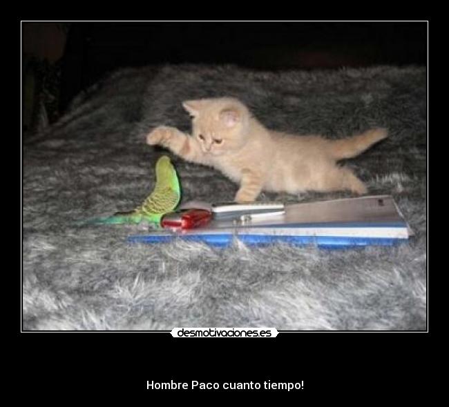 - Hombre Paco cuanto tiempo!