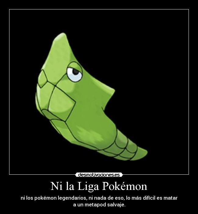 Ni la Liga Pokémon - ni los pokémon legendarios, ni nada de eso, lo más difícil es matar
a un metapod salvaje.