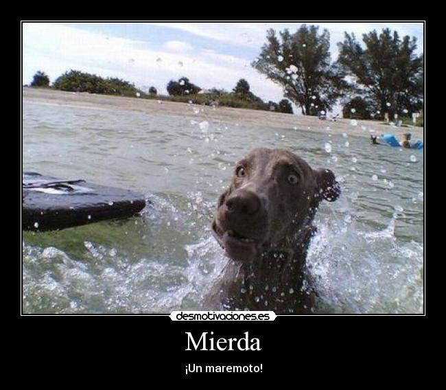 Mierda -