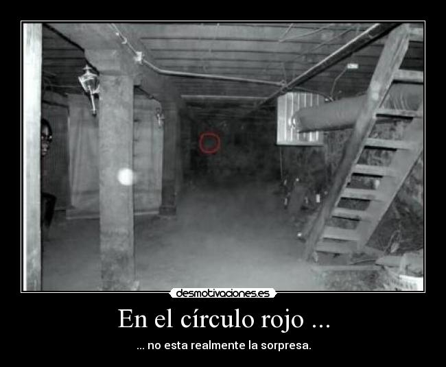 En el círculo rojo ... -