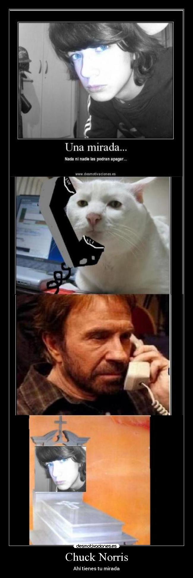 Chuck Norris -