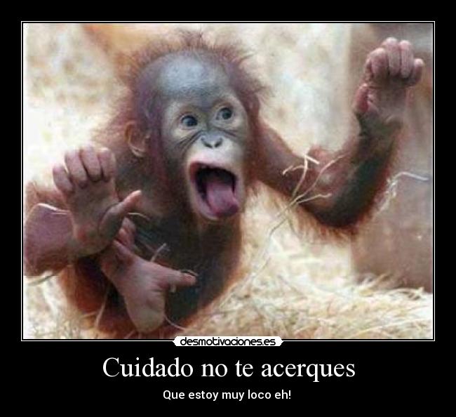 Cuidado no te acerques - 