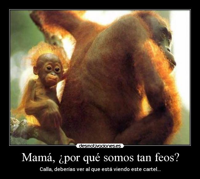 Soy Feo, pero al menos Soy Gracioso !! | Desmotivaciones - L@MM Board!