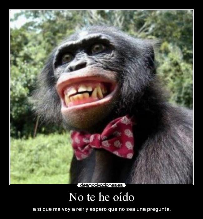 No te he oído - a si que me voy a reir y espero que no sea una pregunta.