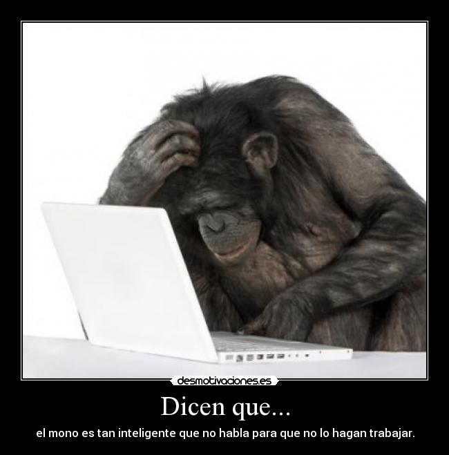 Dicen que... - 
