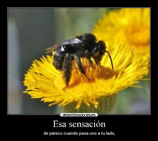 Esa sensación -