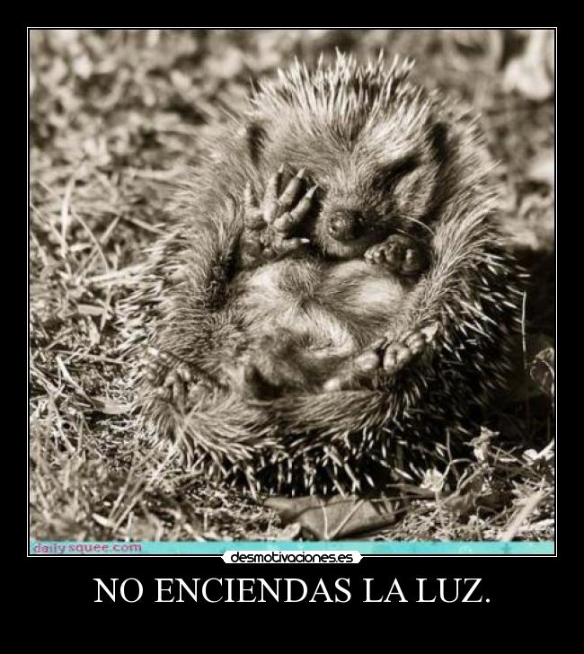 carteles no1 desmotivaciones