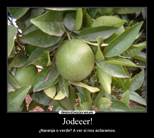 Jodeeer! -