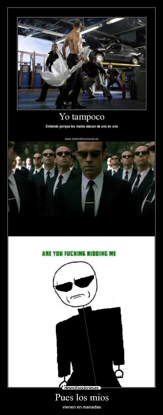 Pues los mios - vienen en manadas