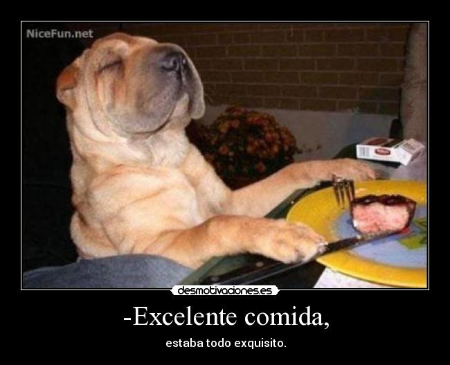 -Excelente comida, - estaba todo exquisito.