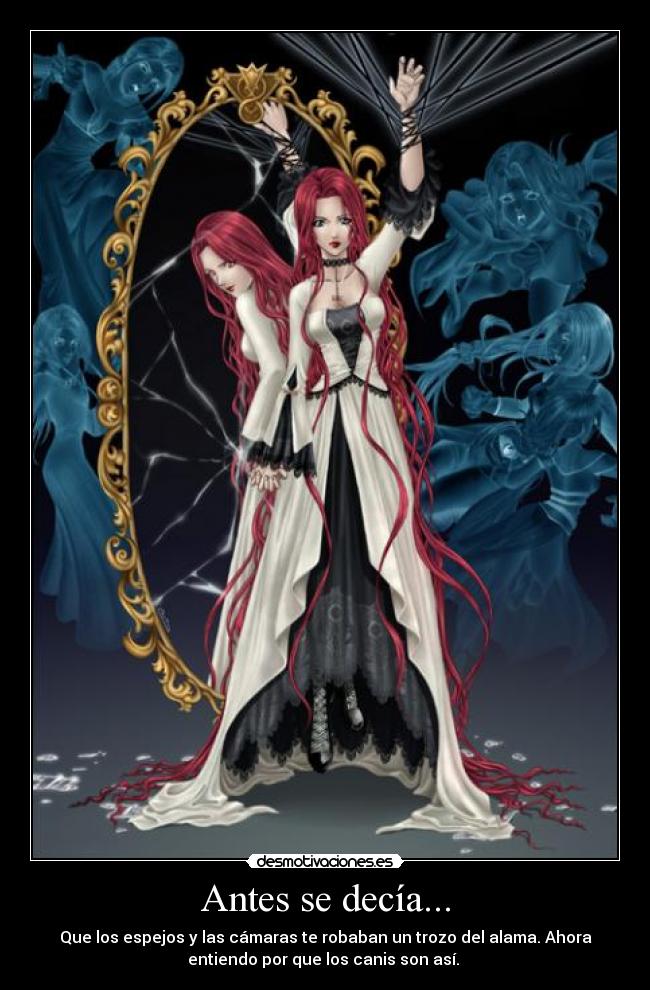 Antes se decía... - Que los espejos y las cámaras te robaban un trozo del alama. Ahora
entiendo por que los canis son así.