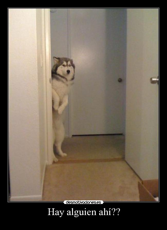 Hay alguien ahí?? -