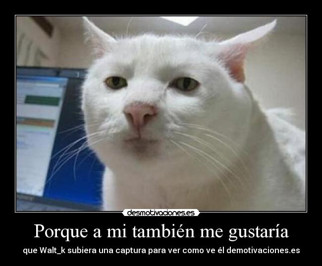 Porque a mi también me gustaría -