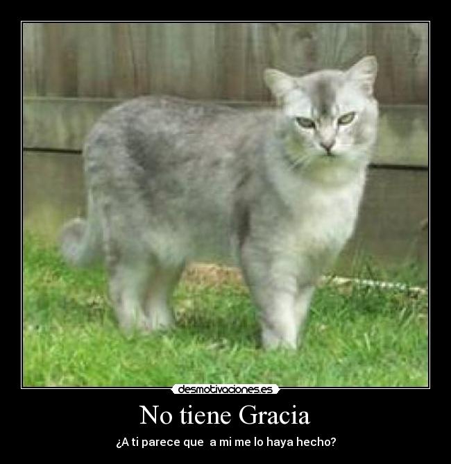 No tiene Gracia - ¿A ti parece que a mi me lo haya hecho?