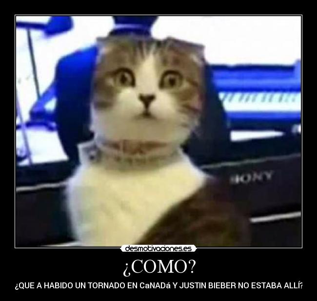 carteles justin bieber desmotivaciones