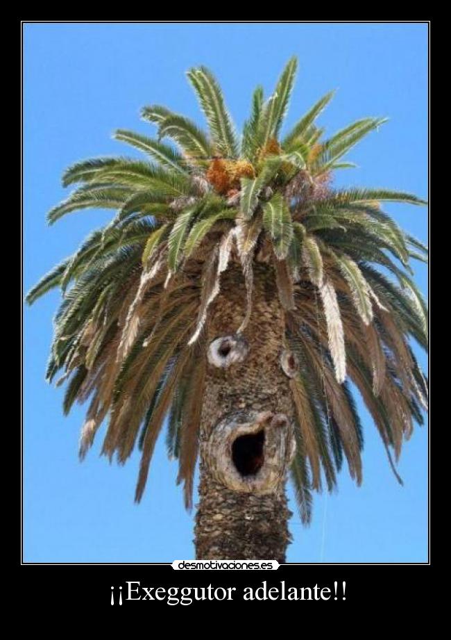 ¡¡Exeggutor adelante!! - 